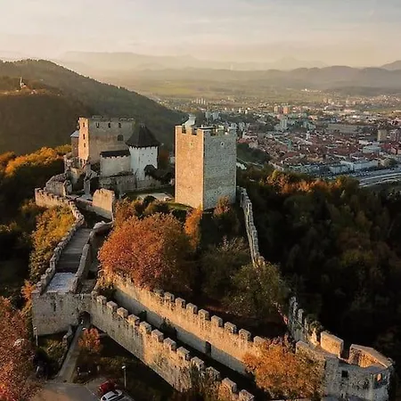 Robert's Апартаменты Целе